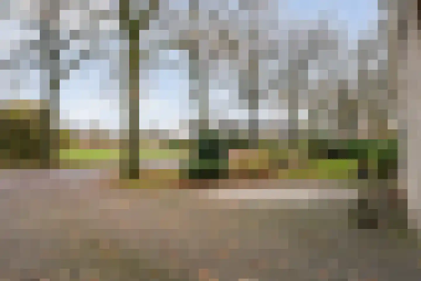 Polhaarweg 25 Dalfsen thumbnail 38
