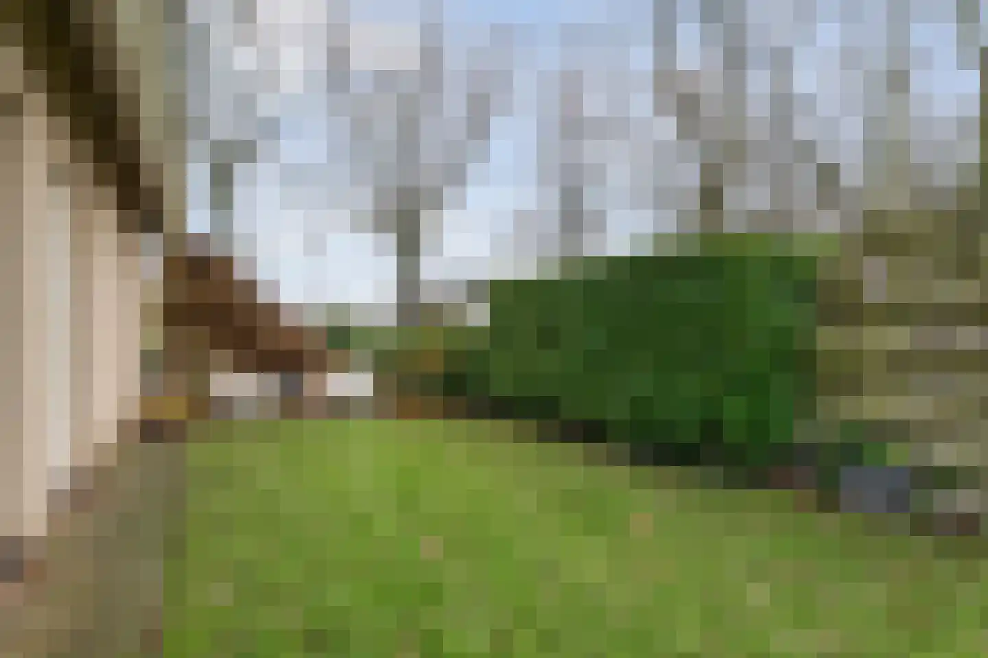 Polhaarweg 25 Dalfsen thumbnail 41