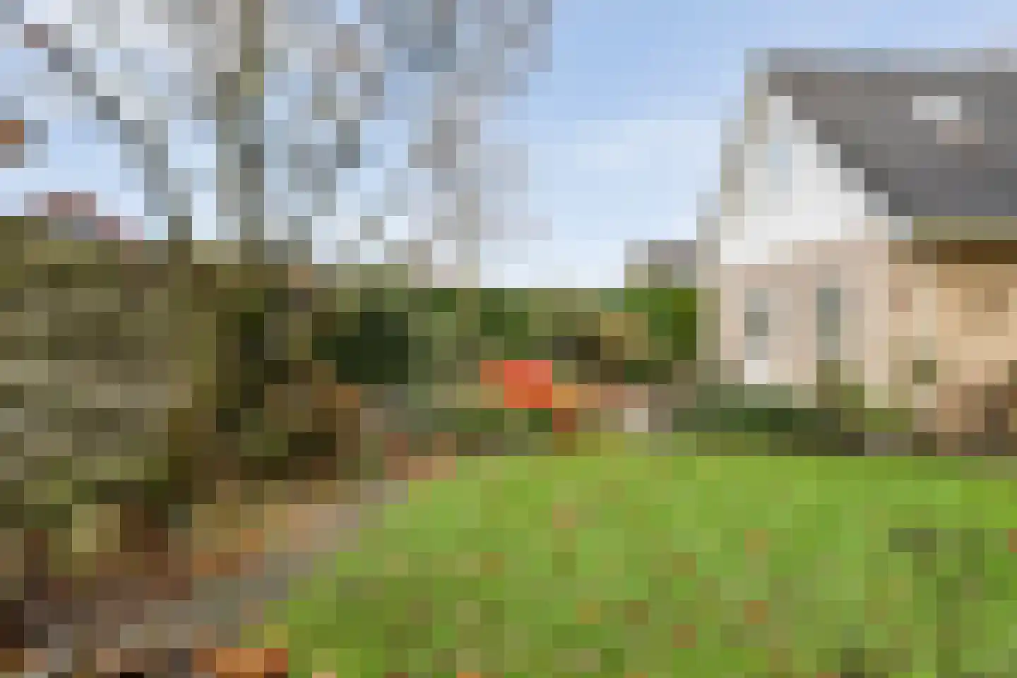 Polhaarweg 25 Dalfsen thumbnail 44