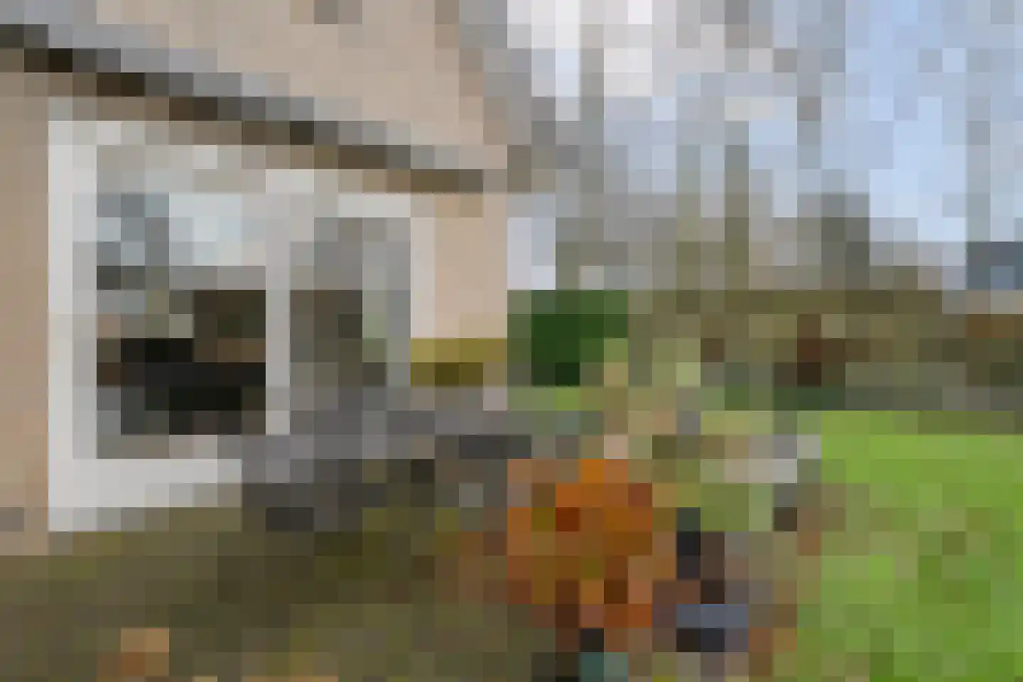Polhaarweg 25 Dalfsen thumbnail 46