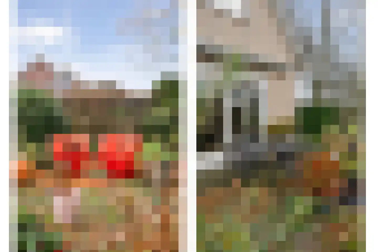 Polhaarweg 25 Dalfsen thumbnail 47