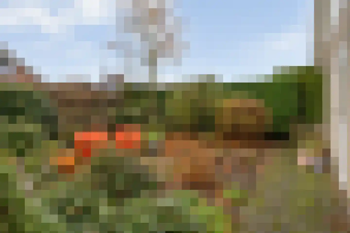 Polhaarweg 25 Dalfsen thumbnail 48