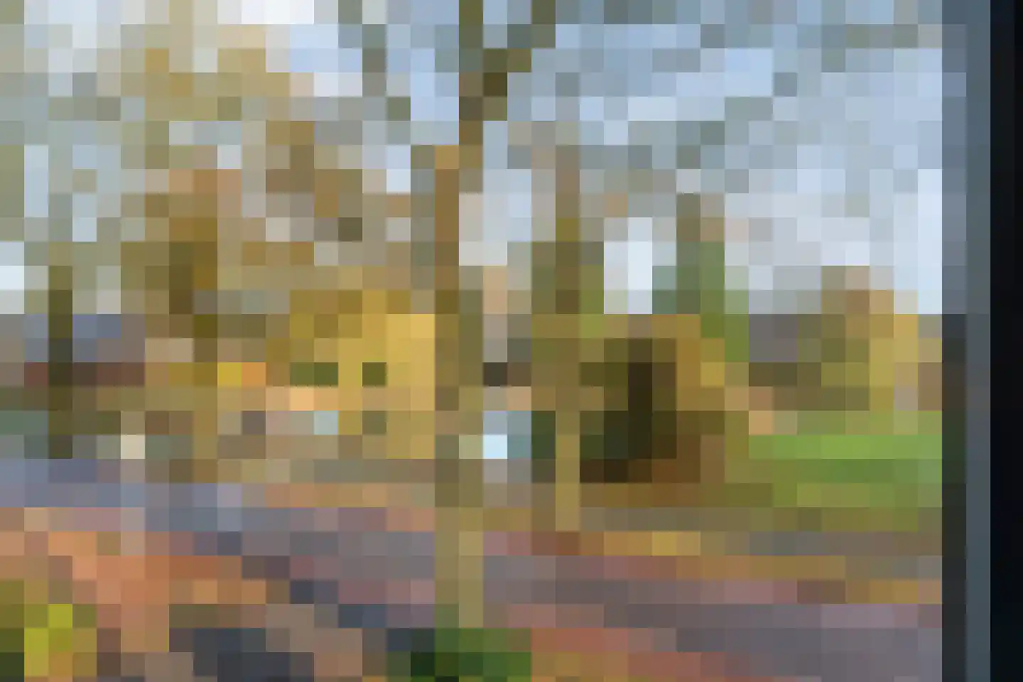 Polhaarweg 25 Dalfsen thumbnail 5