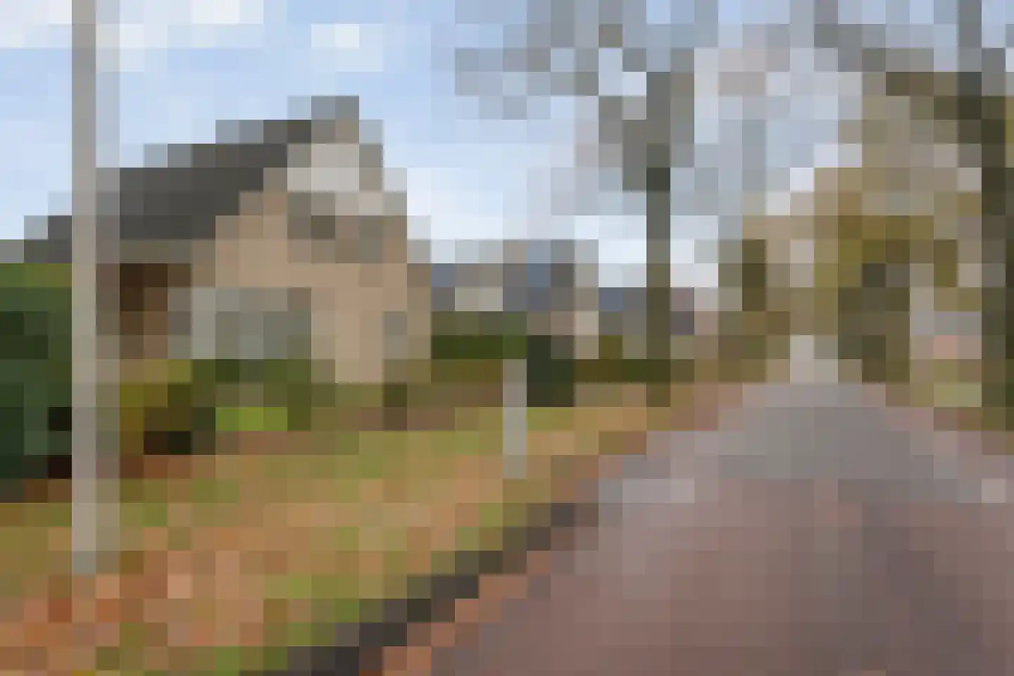 Polhaarweg 25 Dalfsen thumbnail 51