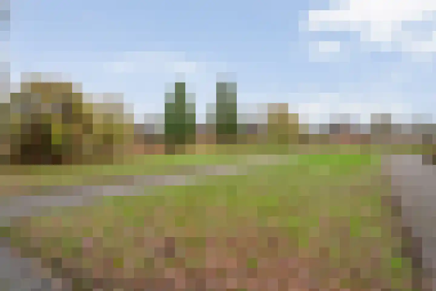 Polhaarweg 25 Dalfsen thumbnail 53