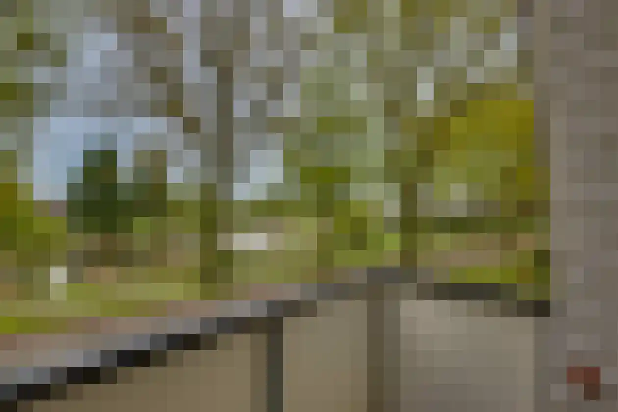 Polhaarweg 29 Dalfsen thumbnail 22