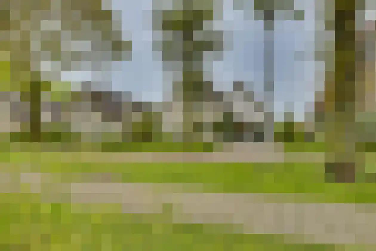 Polhaarweg 29 Dalfsen thumbnail 33