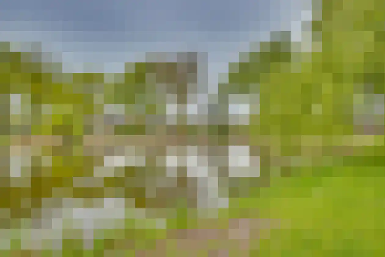Polhaarweg 29 Dalfsen thumbnail 35