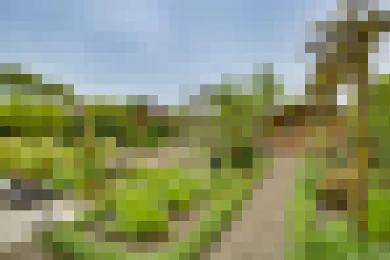 Polhaarweg 29 Dalfsen thumbnail 36