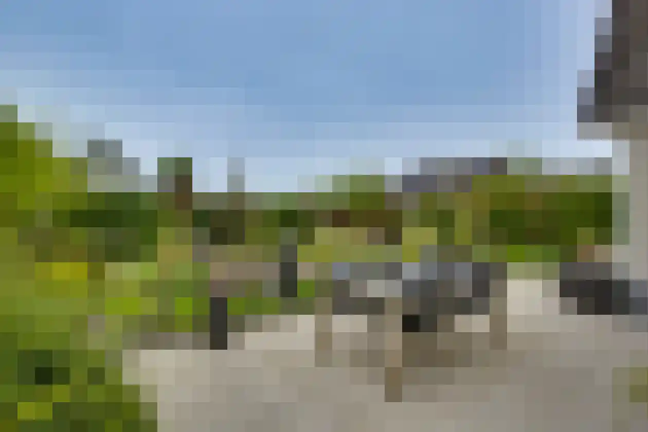 Polhaarweg 29 Dalfsen thumbnail 37