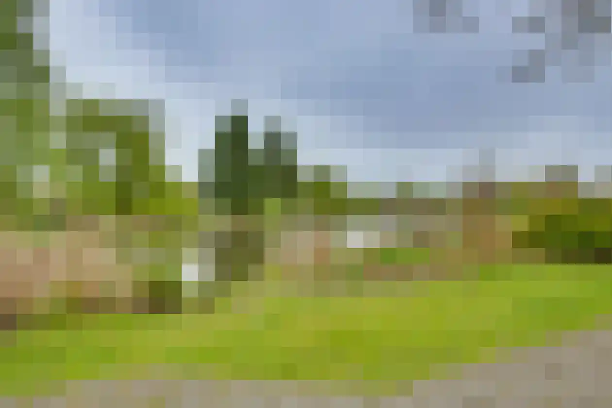 Polhaarweg 29 Dalfsen thumbnail 43