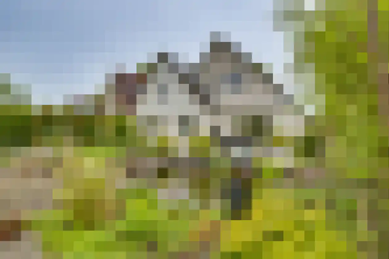 Polhaarweg 29 Dalfsen thumbnail 6