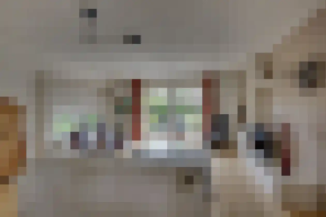 Polhaarweg 29 Dalfsen thumbnail 7