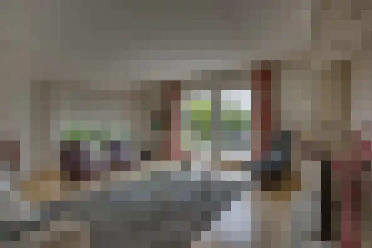 Polhaarweg 29 Dalfsen thumbnail 9