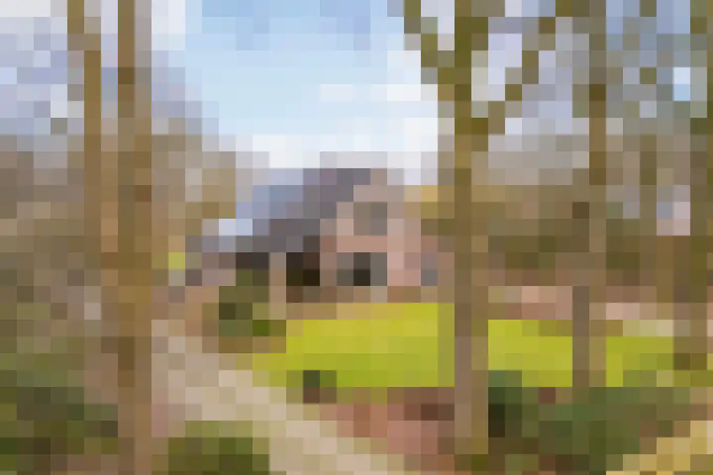 Polhaarweg 7 dans Neede