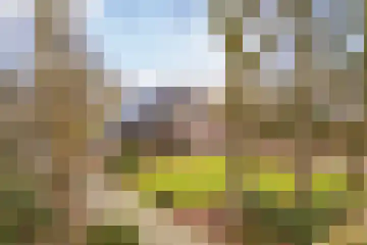 Polhaarweg 7 Neede