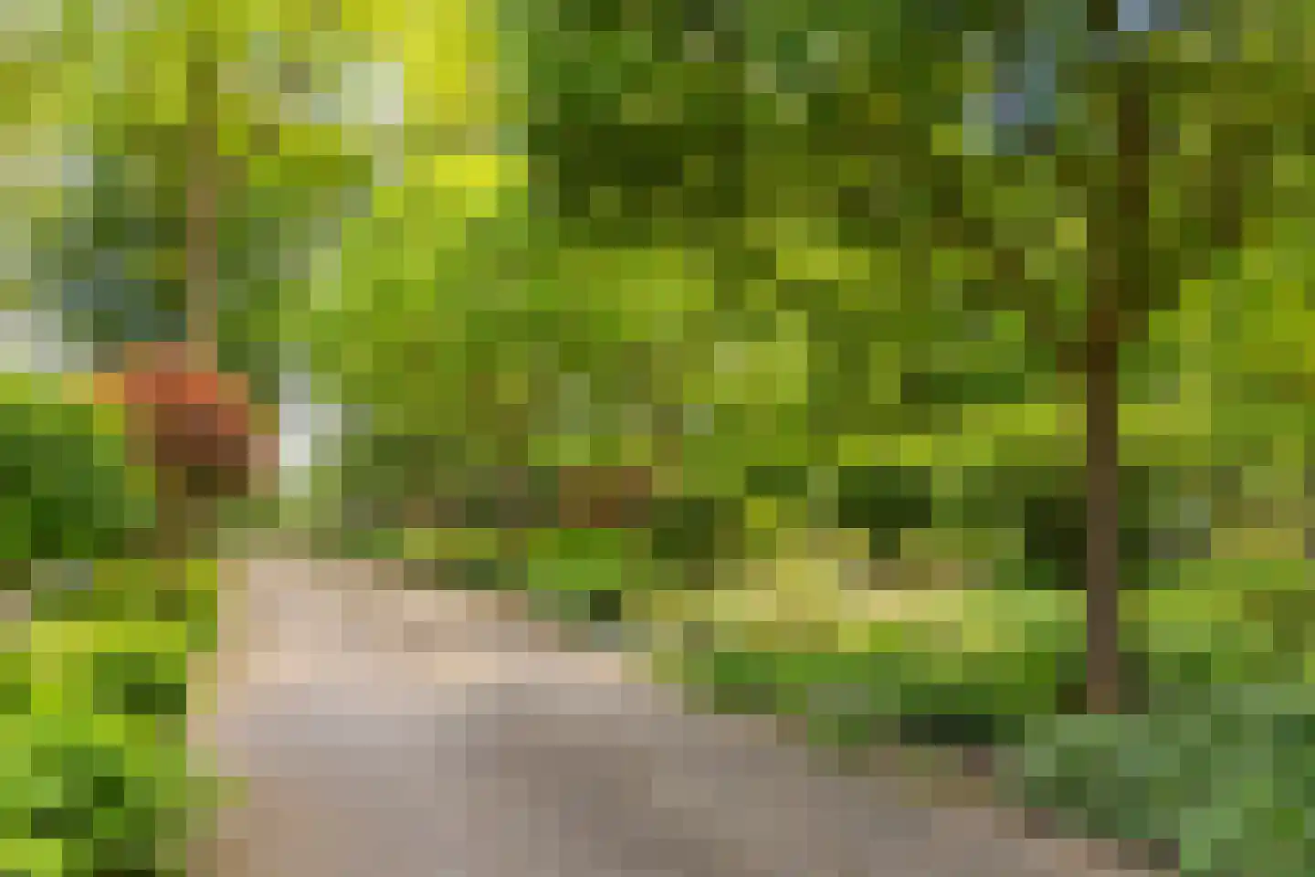 Polhaarweg 7 Neede thumbnail 10