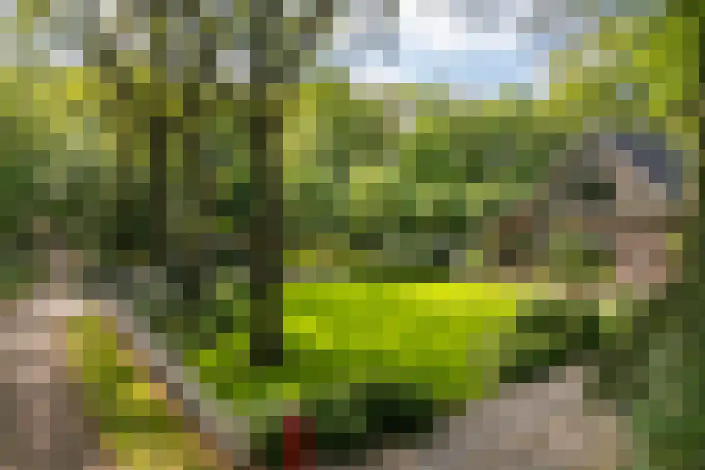 Polhaarweg 7 Neede thumbnail 28