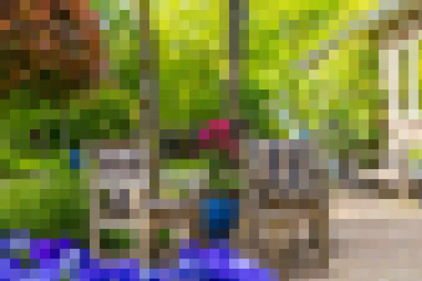 Polhaarweg 7 Neede thumbnail 31