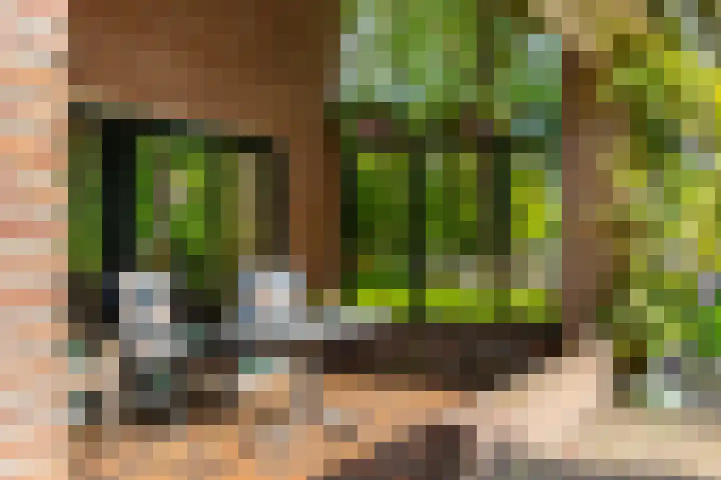 Polhaarweg 7 Neede thumbnail 32