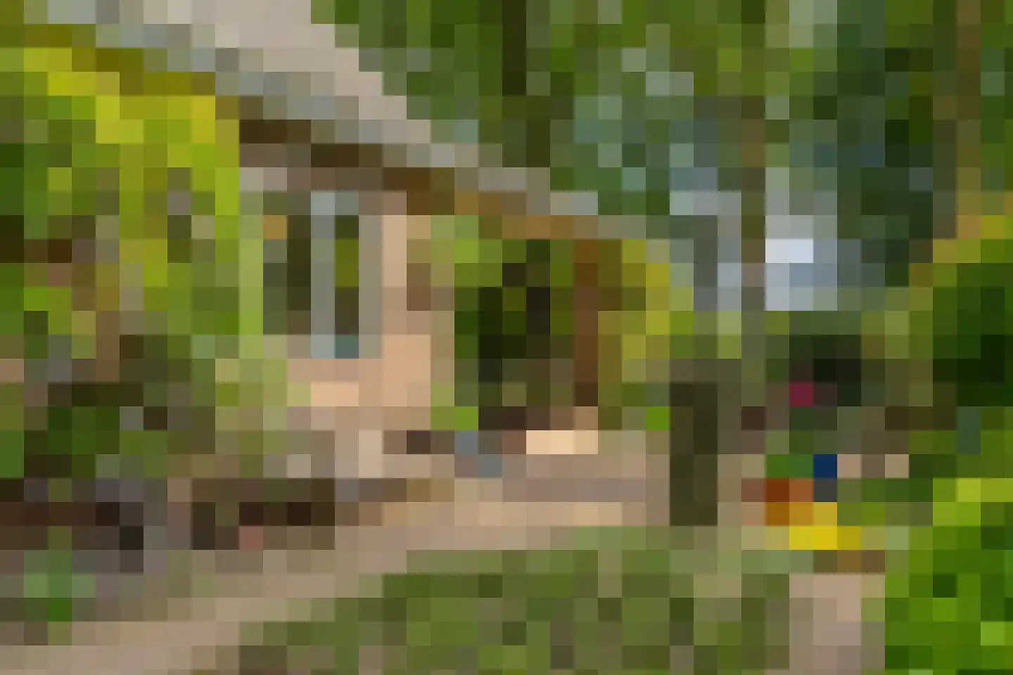 Polhaarweg 7 Neede thumbnail 33
