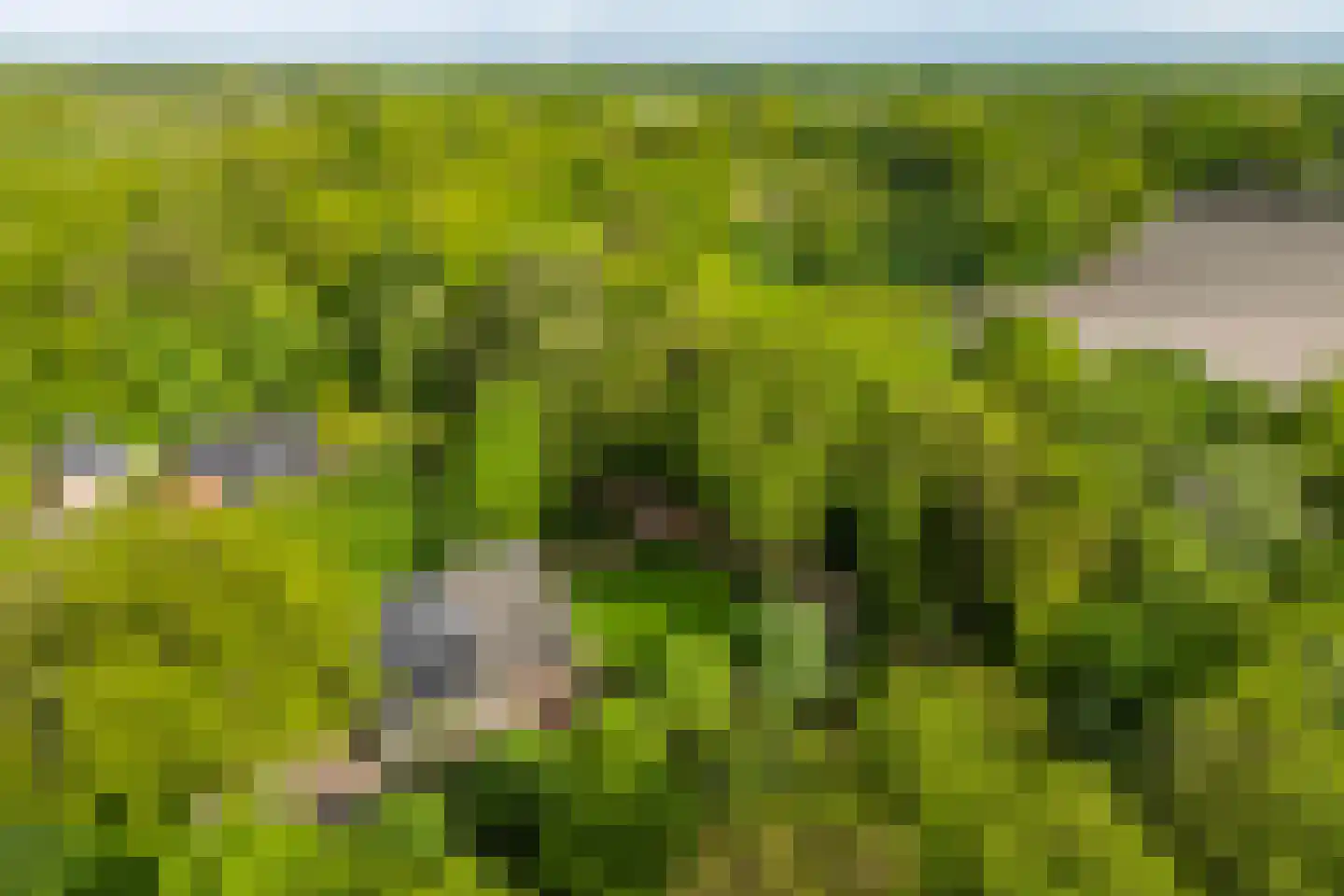 Polhaarweg 7 Neede thumbnail 37