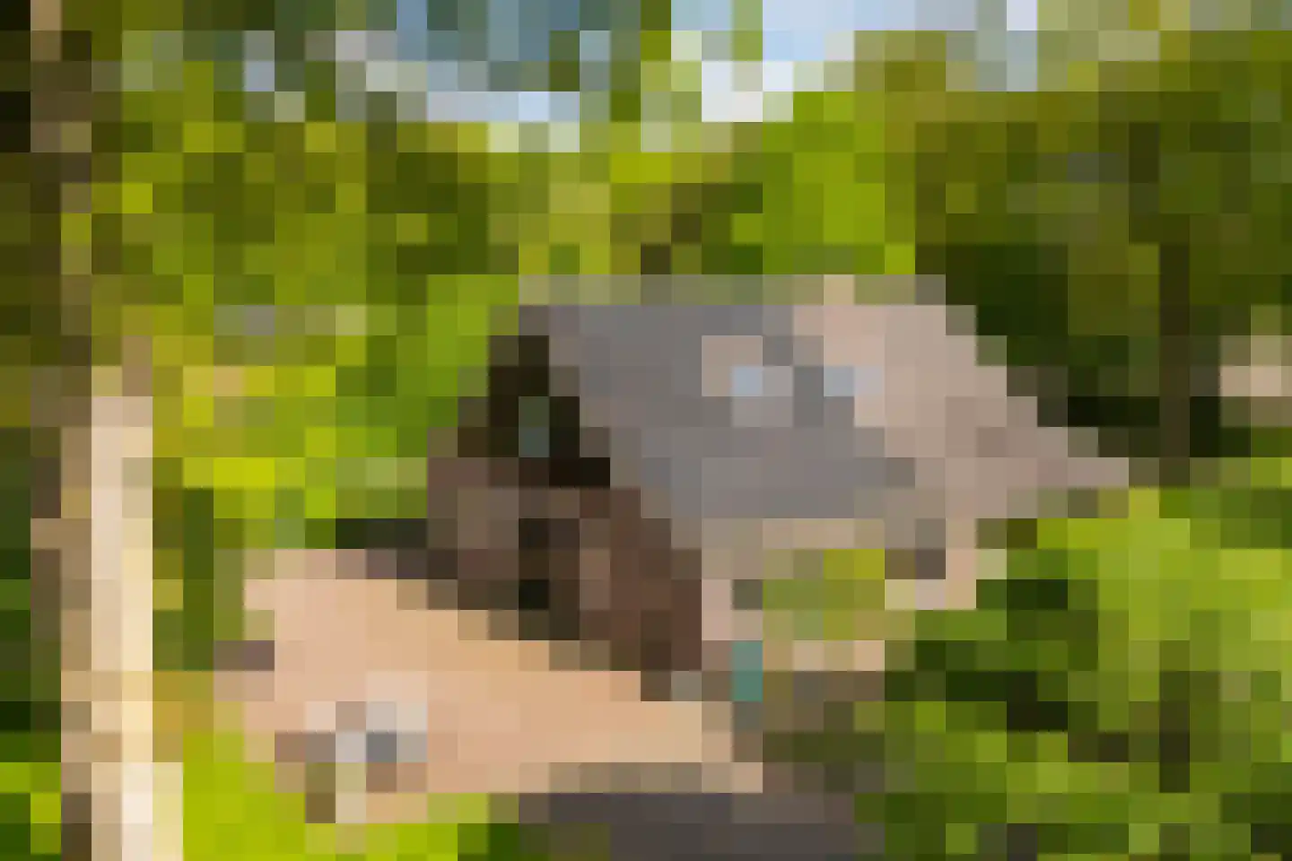 Polhaarweg 7 Neede thumbnail 4