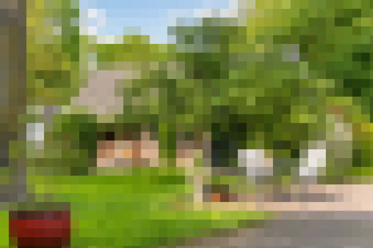 Polhaarweg 7 Neede thumbnail 5