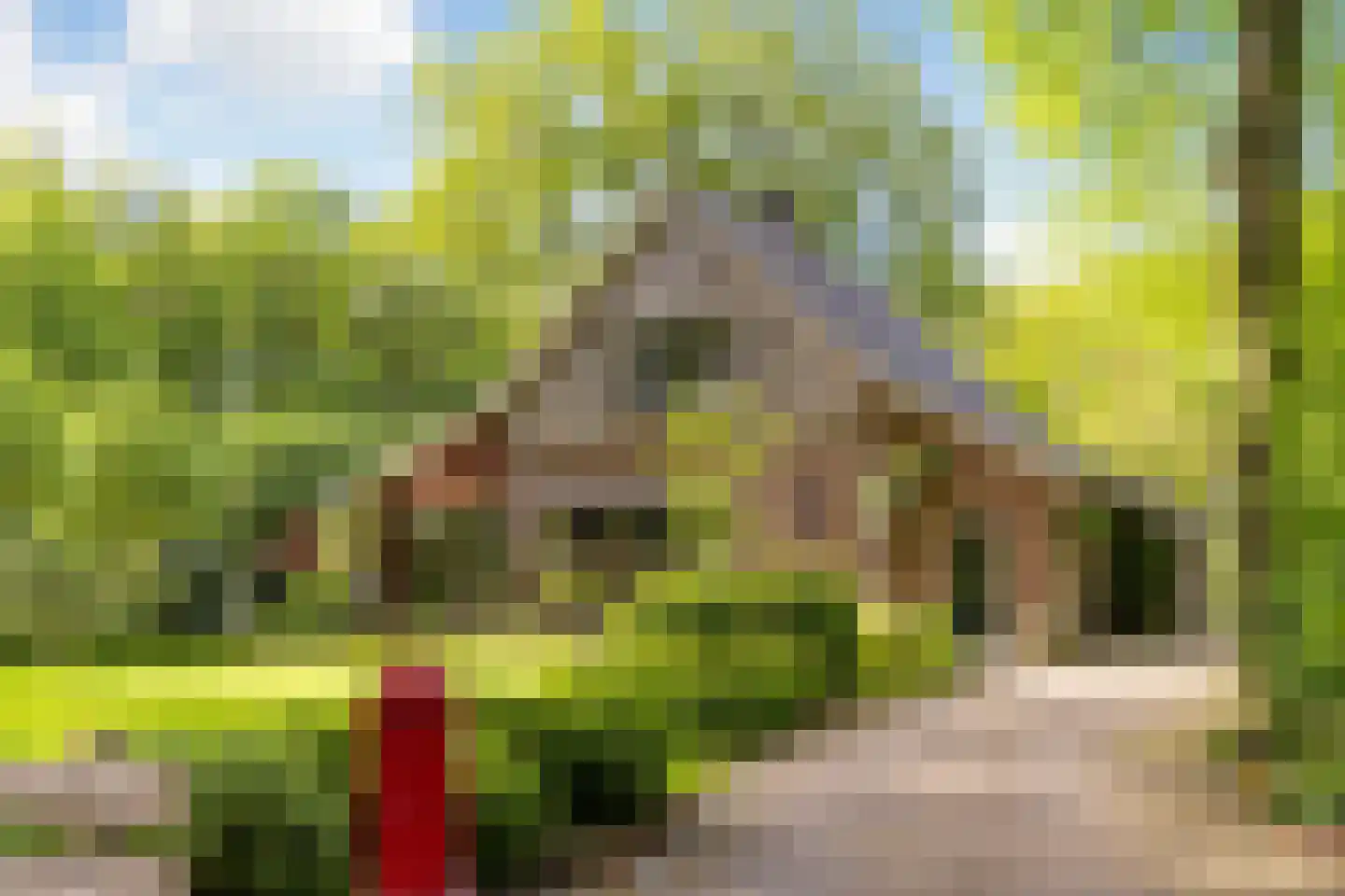 Polhaarweg 7 Neede thumbnail 6