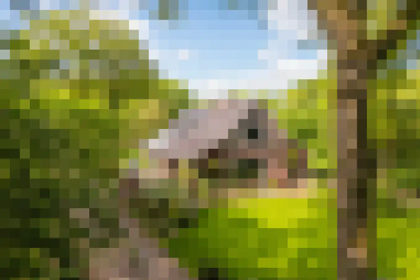 Polhaarweg 7 Neede thumbnail 8