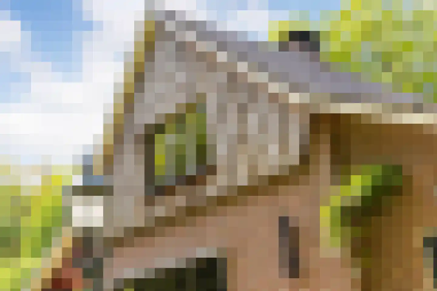 Polhaarweg 7 Neede thumbnail 9