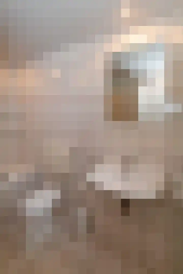 Polhoek 10 Rijssen thumbnail 23