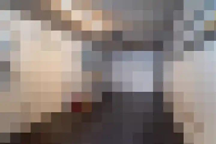 Polhoek 10 Rijssen thumbnail 29