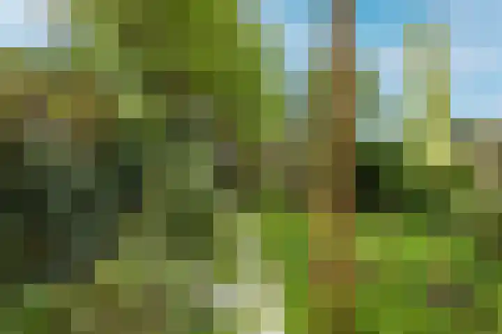 Policestraat 30 Lent thumbnail 28