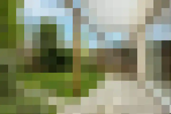 Policestraat 30 Lent thumbnail 29