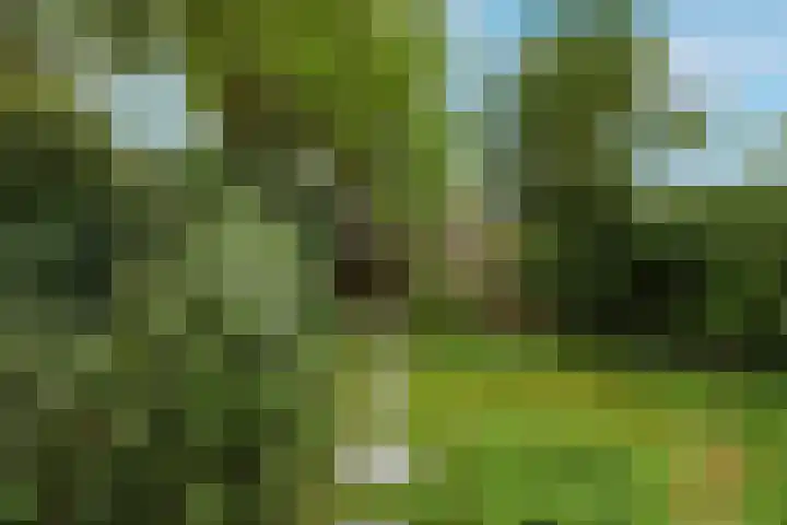Policestraat 30 Lent thumbnail 31