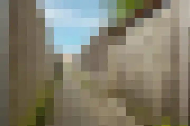 Policestraat 30 Lent thumbnail 35