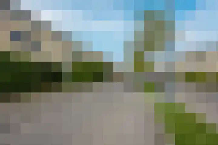 Policestraat 30 Lent thumbnail 37