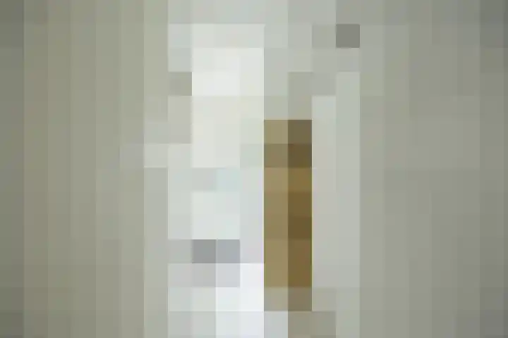 Policestraat 30 Lent thumbnail 6