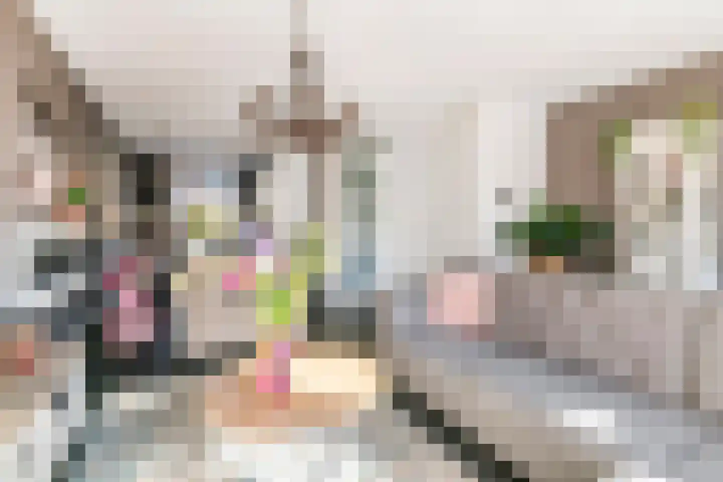Polingstraat 13 Opijnen thumbnail 7
