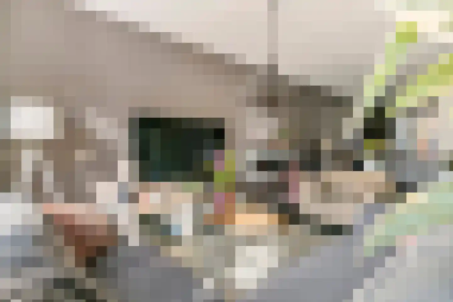 Polingstraat 13 Opijnen thumbnail 8