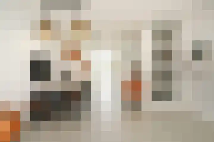 Polingstraat 21 Opijnen thumbnail 9