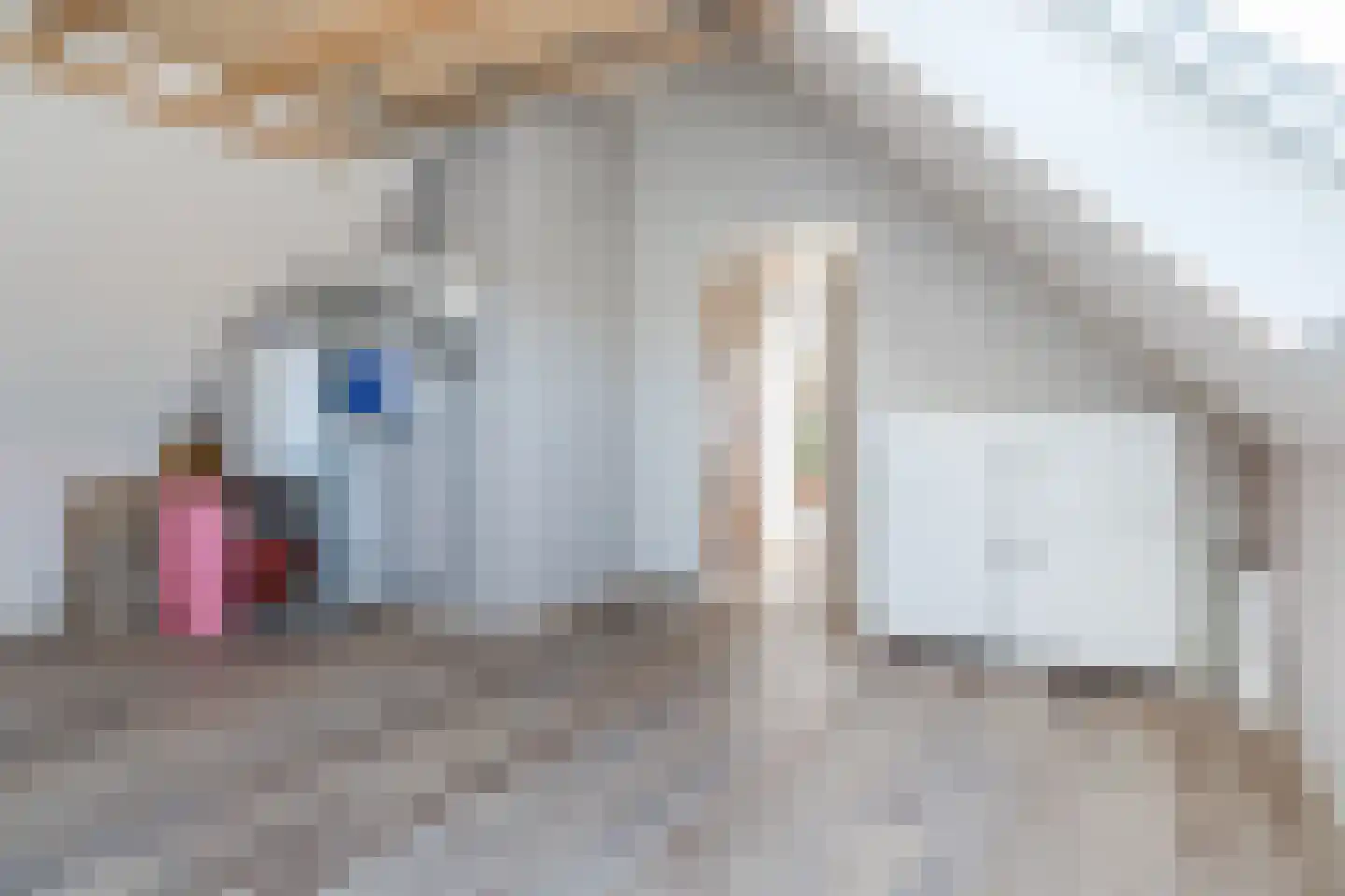 Polingstraat 32 Opijnen thumbnail 36