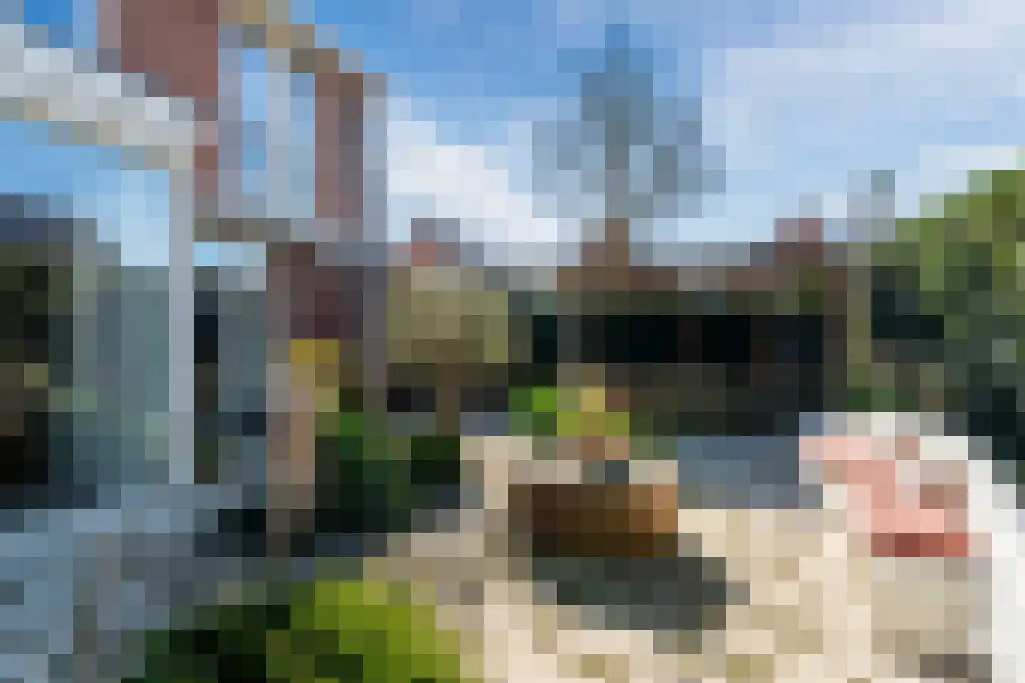 Polingstraat 32 Opijnen thumbnail 39
