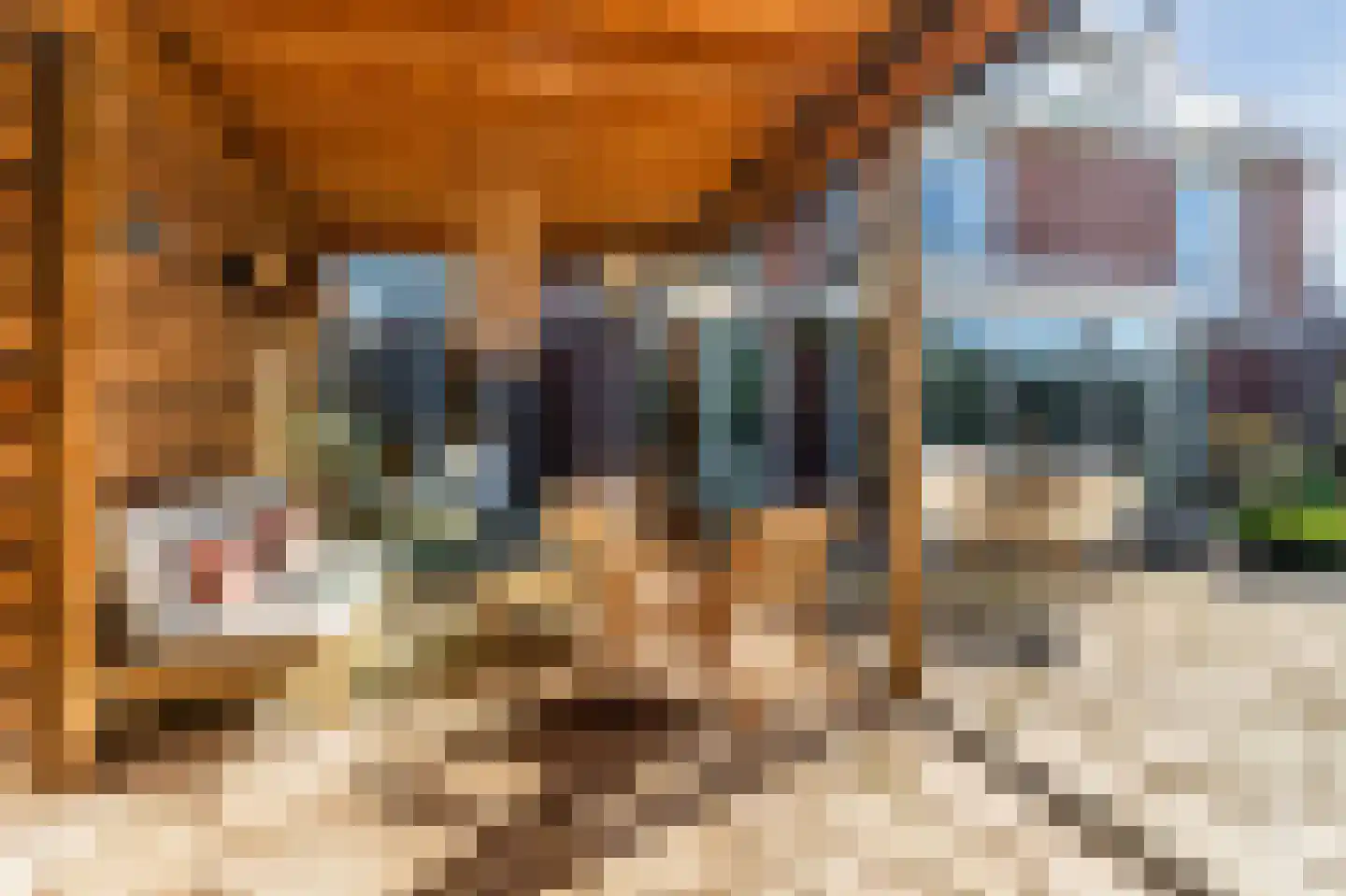 Polingstraat 32 Opijnen thumbnail 42