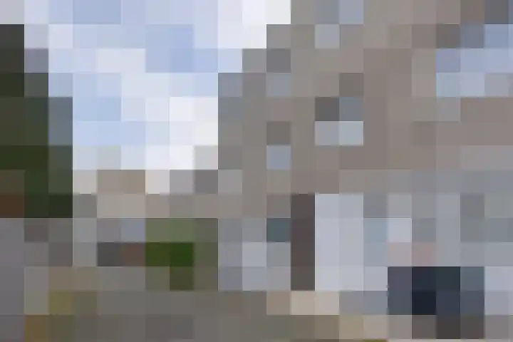 Polkahof 12 Zaandam thumbnail 4