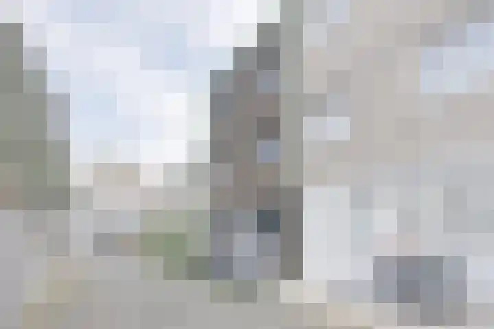 Polkahof 12 Zaandam thumbnail 5
