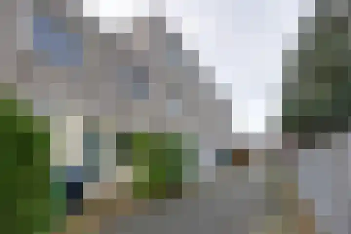 Polkahof 12 Zaandam thumbnail 6