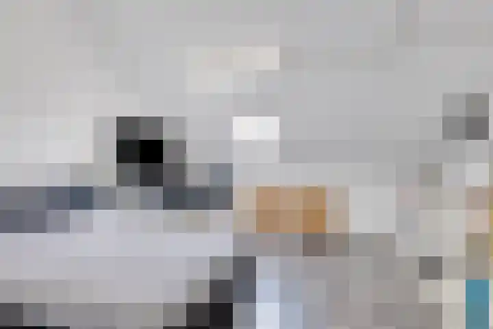 Polkampen 4 Bunschoten-Spakenburg thumbnail 32