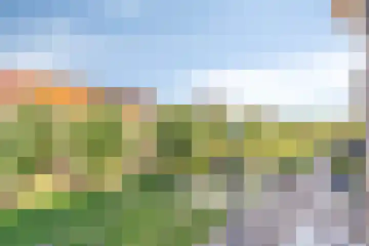 Polkampen 4 Bunschoten-Spakenburg thumbnail 33